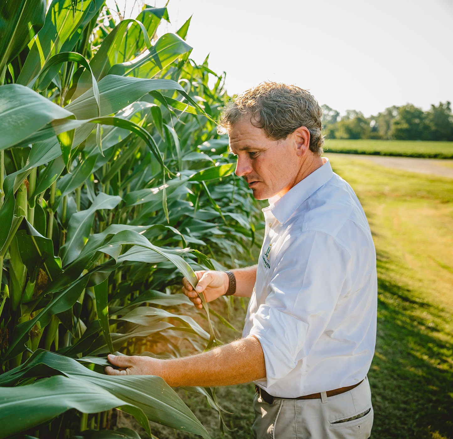 Trey Hill inspecting plants