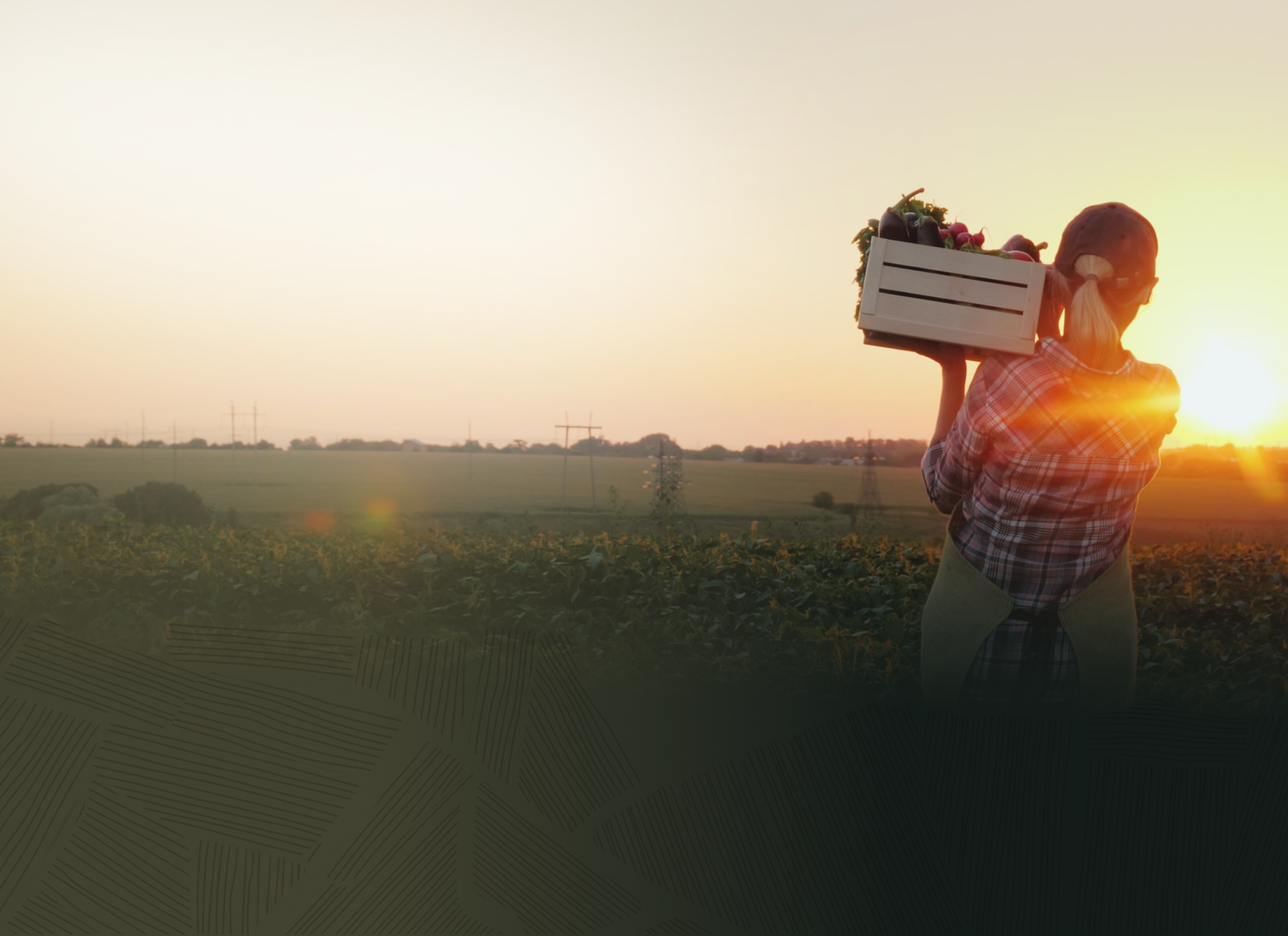 female in plaid shirt carrying a basket with produce in a field