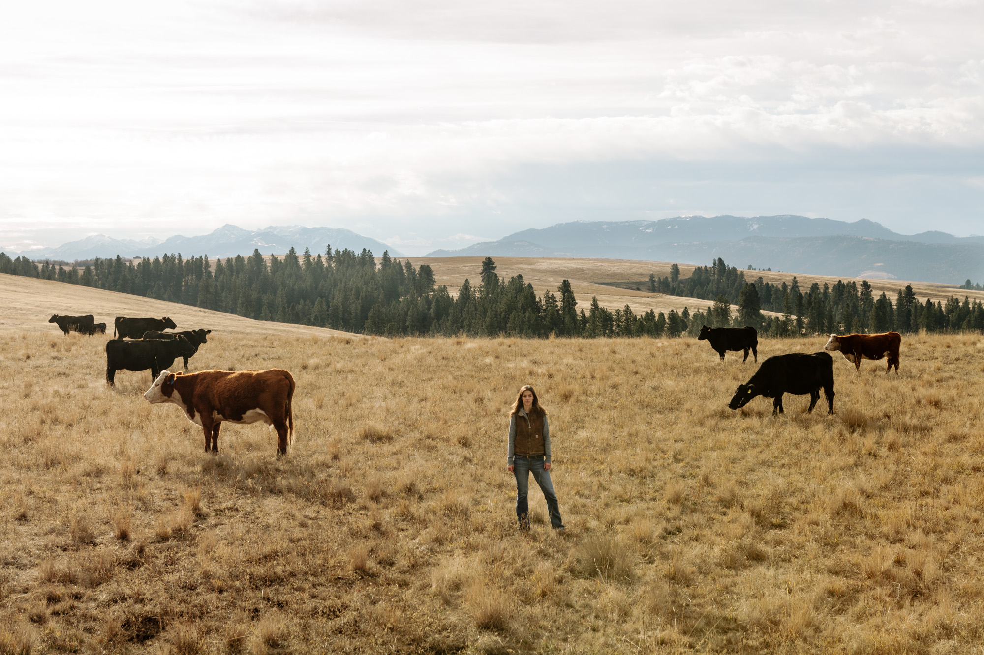 Woman standing in field surrounded by livestock