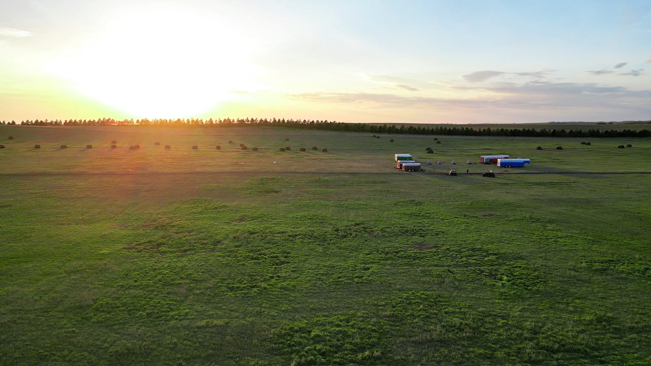 beautiful green field at sunset