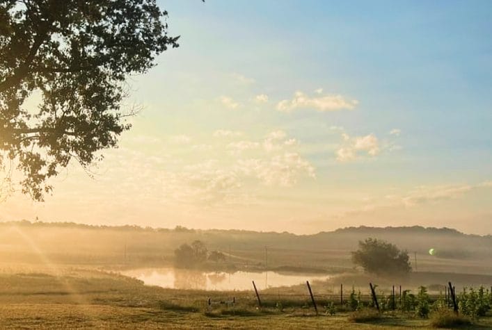 A serene farm scene at sunrise with mist over a pond, a tree in the foreground, and a glowing sky.