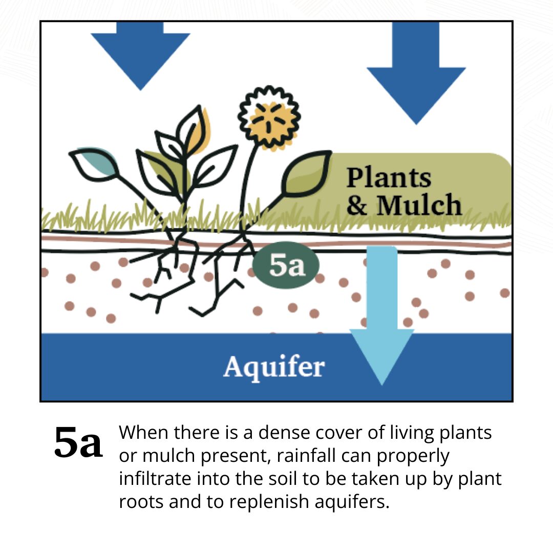 small water cycle diagram by Regenified