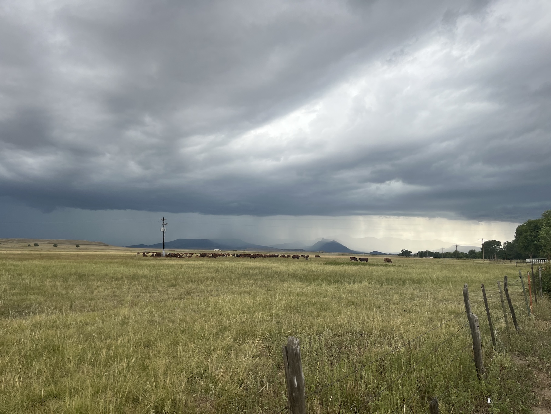 rain in the distance over pasture near Springer, NM